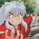 InuYasha on Random Hot-Headed Anime Characters That Are Easy to P*ss Off