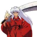 InuYasha on Random Best Anime Character Backstories