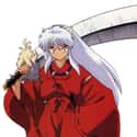 InuYasha on Random Best Anime Character Backstories