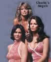 Charlie's Angels on Random Best TV Drama Shows of the 1970s