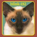 Cheshire Cat on Random Best Blink-182 Albums