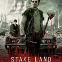 Stake Land on Random Best Zombie Movies