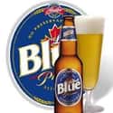 Labatt Blue on Random Best Beer Brands