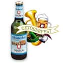Spaten Octoberfest on Random Best German Beers