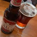 Big Rock Traditional Ale on Random Best Canadian Beers