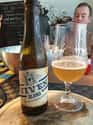 De Proefbrouwerij Kapel van Viven blond on Random Best Belgian Beers