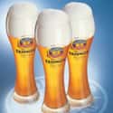 Erdinger Weissbier on Random Best Beer Brands