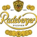Radeberger Pilsner on Random Best German Beers