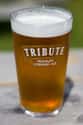 St. Austell Tribute on Random Best English Beers