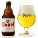 Moortgat Duvel on Random Best Beers from Around World