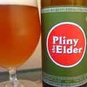 Russian River Brewery Pliny the Elder on Random Best Beers from Around World