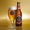 Estrella Galicia on Random Top Beers from Spain
