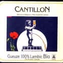 Cantillon Gueuze Lambic on Random Best Belgian Beers