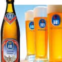 Hofbrauhaus München Münchner Fest-Bier on Random Best Beer Brands