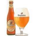 Hoegaarden Speciale on Random Best Belgian Beers