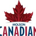 Molson Canadian on Random Best Canadian Beers