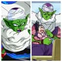 Piccolo on Random Dragon Ball Universe Heroes