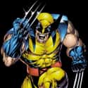 Wolverine on Random Top Marvel Comics Superheroes