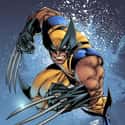 Wolverine on Random Best Movie Characters