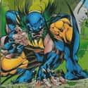 Wolverine on Random Impractical Footwear Sported By Superheroes