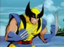 Wolverine on Random Best Cartoon Characters Of The 90s
