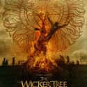 The Wicker Tree on Random Best Movies About Cults