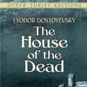 The House of the Dead on Random Best Russian Novels