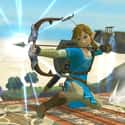 Link on Random Video Game Hero You Would Be Based On Your Zodiac Sign