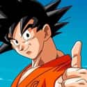 Goku on Random Dragon Ball Character You Are, According To Your Zodiac Sign