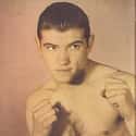 Flyweight   Pascual Nicolás Pérez was an Argentine flyweight boxer.