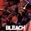 Bleach on Random Best Adult Animated Shows