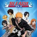 Bleach on Random Best Anime Streaming on Netflix