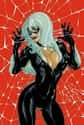 Black Cat on Stunning Female Comic Book Characters