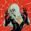 Black Cat on Random Comic Book Characters We Want to See on Film
