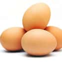 Egg on Random Healthiest Superfoods