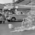 Thich Quang Duc on Random Unusual Deaths: Bizarre Deaths Of the 20 Century