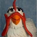 Camilla the Chicken on Random Most Interesting Muppet Show Characters