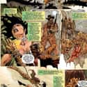 Cheetah on Random Comic Book Villains With Horrifying And Heartbreaking Origin Stories