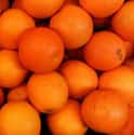 Orange on Random Very Best Citrus Fruits