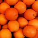Orange on Random Very Best Citrus Fruits