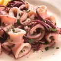 Squid on Random Best (Non-Fish) Seafood