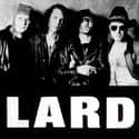 Lard on Random Best Industrial Metal Bands