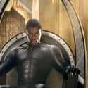 Black Panther on Random Avenger Be Sort Into Hogwarts Hous