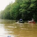 Wolf River on Random Best American Rivers for Canoeing