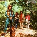 Green River on Random Best Creedence Clearwater Revival Albums