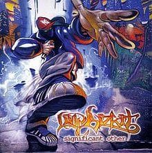 List of All Top Limp Bizkit Albums, Ranked