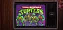 Teenage Mutant Ninja Turtles on Random Coolest Toys From 'The Toys That Made Us'