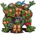 Teenage Mutant Ninja Turtles on Random Most Unforgettable '80s Cartoons