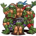Teenage Mutant Ninja Turtles on Random Best Animated Sci-Fi & Fantasy Series