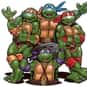 Shredder, Donatello, Raphael